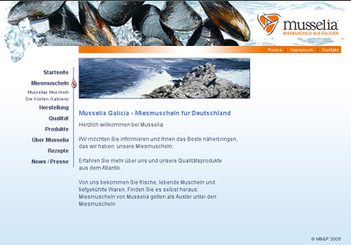 Website für Food-Importeur