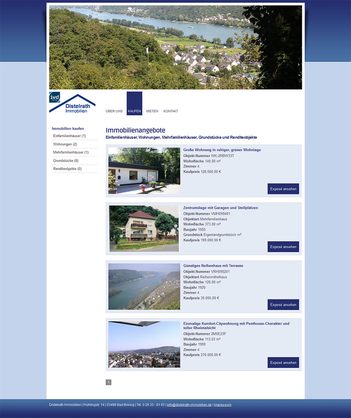 Webseite für Immobilien